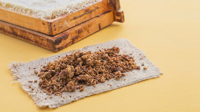 Zinc oxide and propolis mixture shows promising results