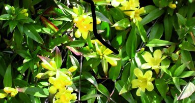 Stress au cabinet dentaire