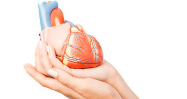 Altre prove dei legami esistenti tra la parodontite e le malattie cardiache