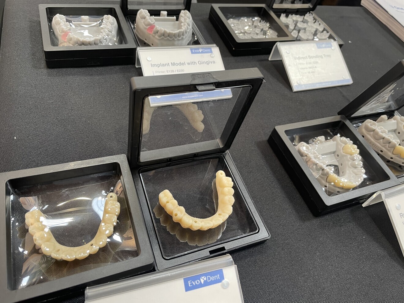 Example products demonstrating the dental applications of EvoDent printers, including gingival models and indirect bonding trays.