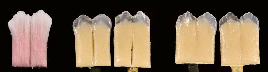 Fig. 1: Test samples showing shrinkage behaviour.  Left: Application of the ceramic on the metal sample. Centre: IPS d.SIGN Right: IPS Style