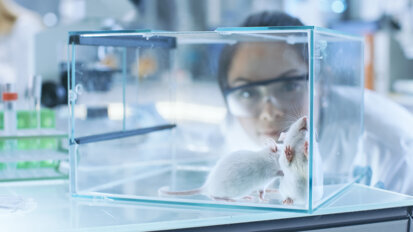 Moving away from animal testing in dentistry Moving away from animal testing in dentistry