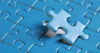 Kalzium-Transportmechanismus zur Zahnschmelzbildung erforscht