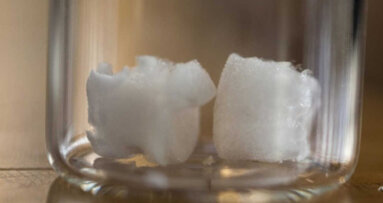 La cellulose végétale / un nouveau matériau osseux de comblement .