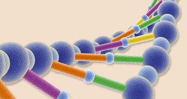 Neue Genorte für Spaltbildung im Gaumen entdeckt