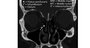 Current and related literature abstracts