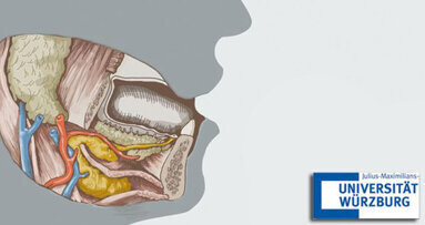 Kopf-Hals-Tumore: Weltpremiere für neue OP-Technik