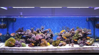 Paciente anestesiada cai e morre em clínica odontológica