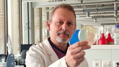 ¿Qué tienen que ver las abejas con la pasta de dientes?