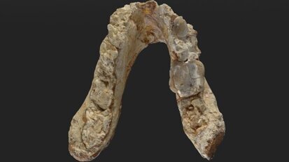 New research on mandible and premolar fossils could rewrite human history