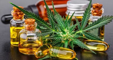 CBD lindert Zahnschmerzen und steigert Bisskraft