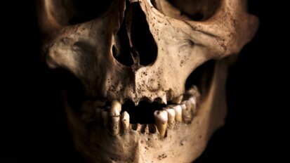 Będzie lek na odrastanie utraconych zębów?