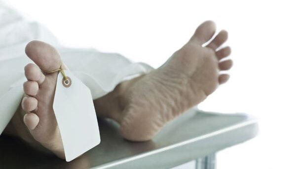 Snatcher of dental gold from dead stands trial