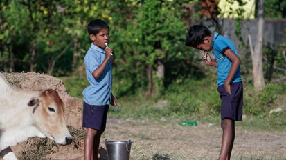 World Health Organization incorporates feedback from FDI into revised action plan