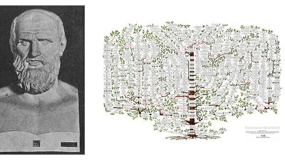 Geschenktipp: Buch über Stammbaum der Medizin