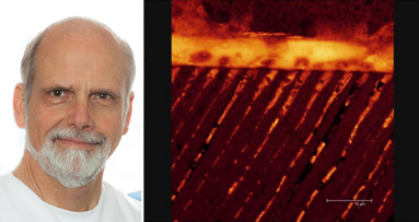 Universaladhäsive: DTSC Webinar klärt auf