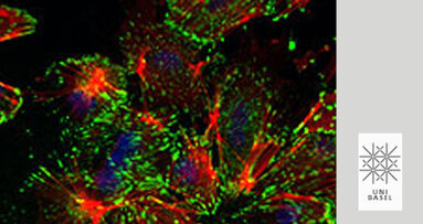 Transkriptionsfaktor zur Metastasenbildung entdeckt