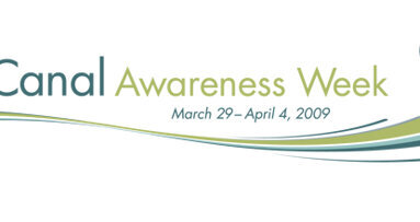 With Root Canal Awareness Week, AAE aims to dispel fear among patients