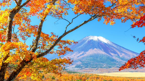 Save the date: GC announces One Week of Excellence in Japan in October 2026