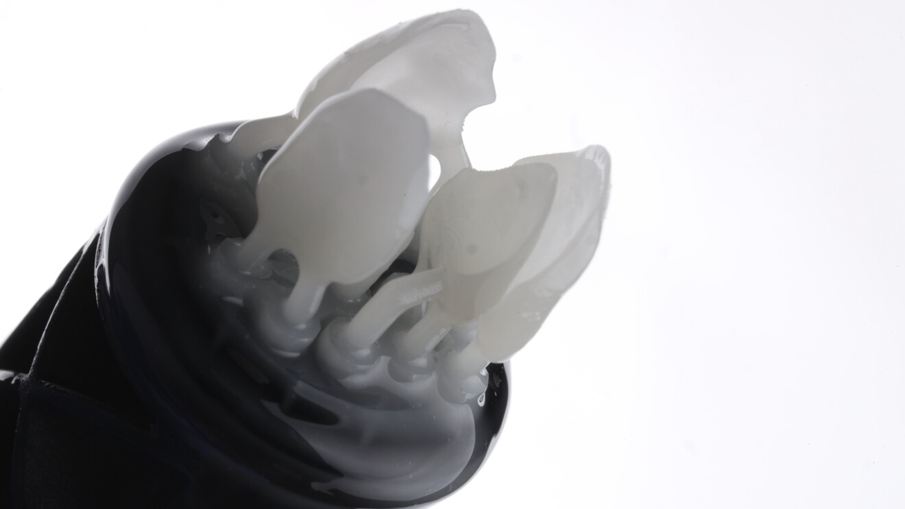 Fig. 4b: Post-printing evaluation and finishing. Printed veneers immediately after fabrication, still attached to the capsule/platform and covered with residual resin before cleaning.