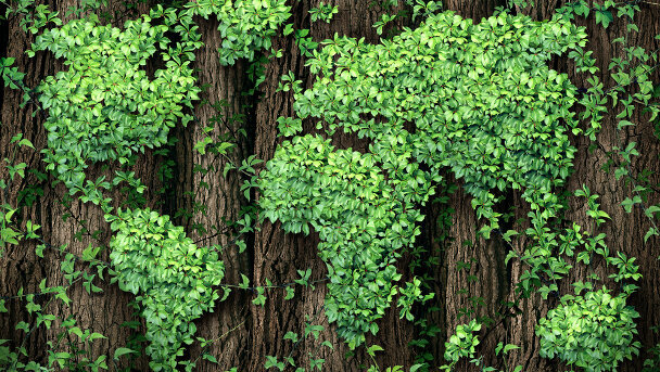 Henry Schein, une entreprise éco-responsable