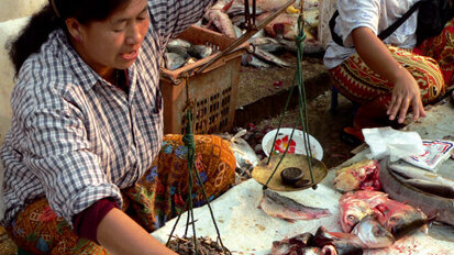 Researchers use fluorescence for detecting mercury in fish and dental fillings