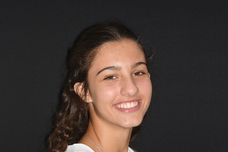 Fig. 17: Comparison of oblique views.