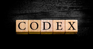 DGZMK verabschiedet Codex der Zahnärzteschaft