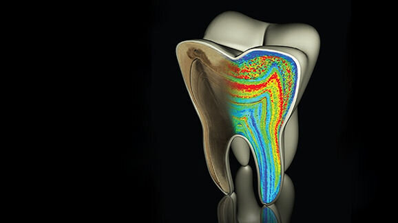 Dente revela hábitos da amamentação neandertal