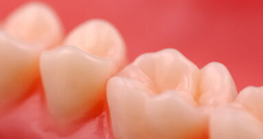 Scientists unlock secrets of enamel formation