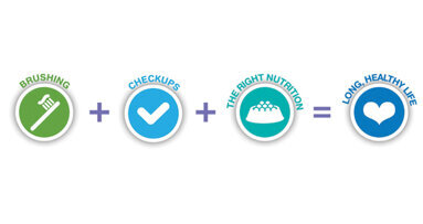 ‘Pets Need Dental Care, Too’ educates pet owners on link between healthy mouths and healthy bodies