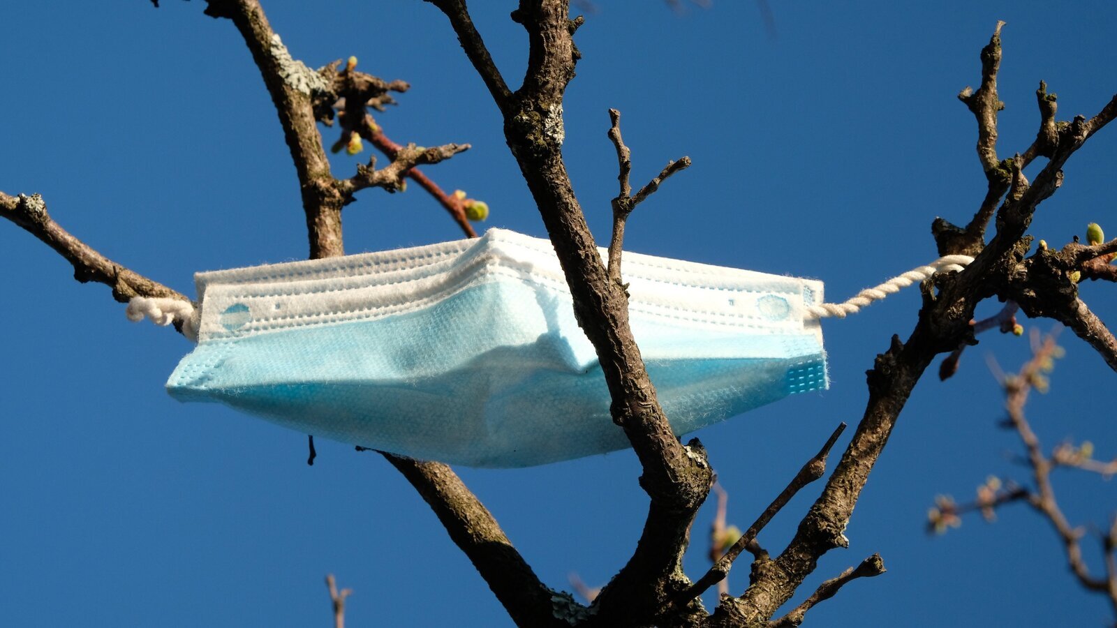 ¿Mascarillas en la consulta?