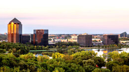 Mother of Pearls 2020