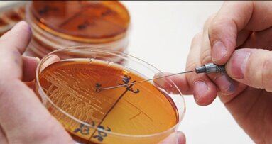 Καρκίνος κεφαλής και τράχηλου. Νέο σύστημα απλοποιεί τον θεραπευτικό σχεδιασμό