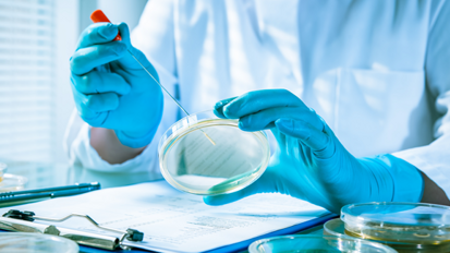 Endodontie: Durchbruch im Kampf gegen resistente Keime