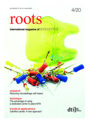 roots international No. 4, 2020 roots international No. 4, 2020