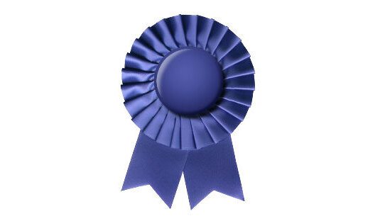 Giulio Preti nominato Cavaliere di Gran Croce dal Presidente Napolitano