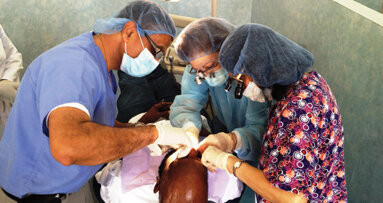 AAIP and Linkow Implant Institute offer implant course in Jamaica