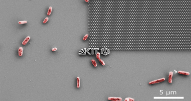Nanostructured surface reduces bacterial growth, accelerates post implantation wound healing