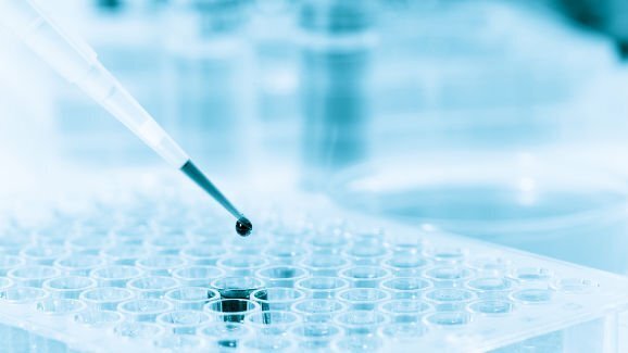 מחקר חדש על ה Microbiome האוראלי עשוי לעזור בהפיכת תהליך מחלת חניכיים