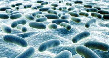 Artrite reumatoide e patologia parodontale: una via in comune?