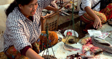 Researchers use fluorescence for detecting mercury in fish and dental fillings