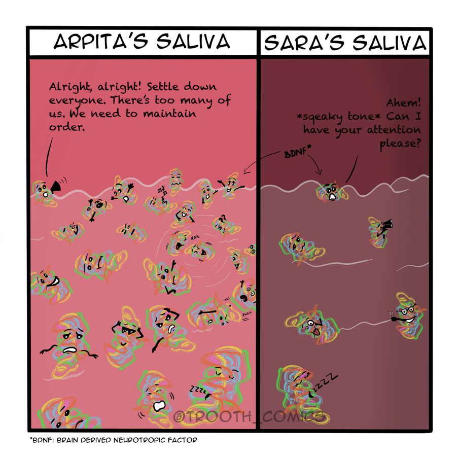 BDNF in Orthodontic pain 4