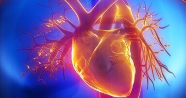 Bei Parodontose-Behandlung droht Gefahr fürs Herz