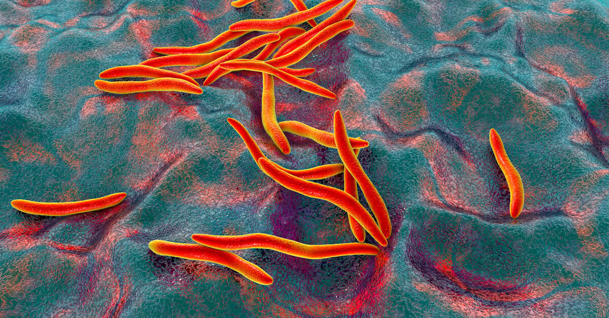 Oral bacterium linked to breast cancer development in preclinical study