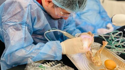 Actualizarse o perecer, esa es la cuestión