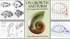 Sobre la validez de los biotipos faciales