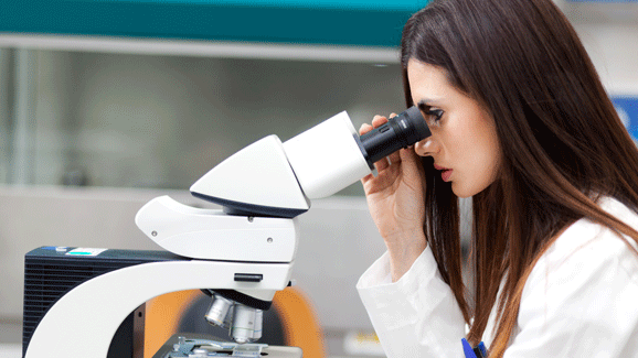 Forscher entlarven orale Bakterien schon in der Plazenta