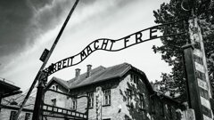 Excuses Duitse tandartsen voor nazipraktijken in Tweede Wereldoorlog