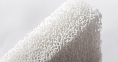 Una nueva generación de injertos óseos naturales